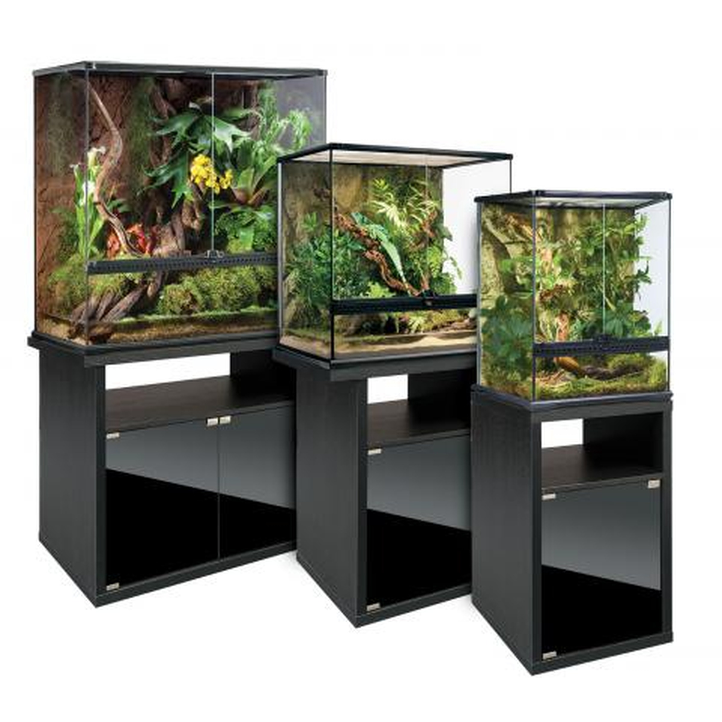 Three glass terrariums with lush tropical plants atop black display stands of varying heights.