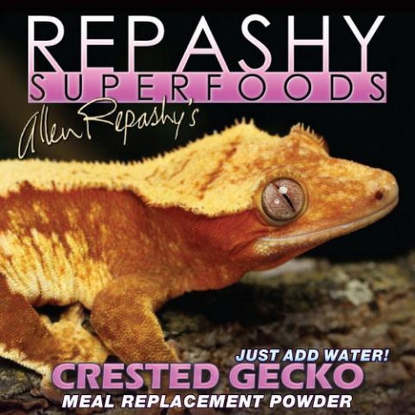 Orange crested gecko on a dark background with Repashy Superfoods branding and meal replacement powder text.
