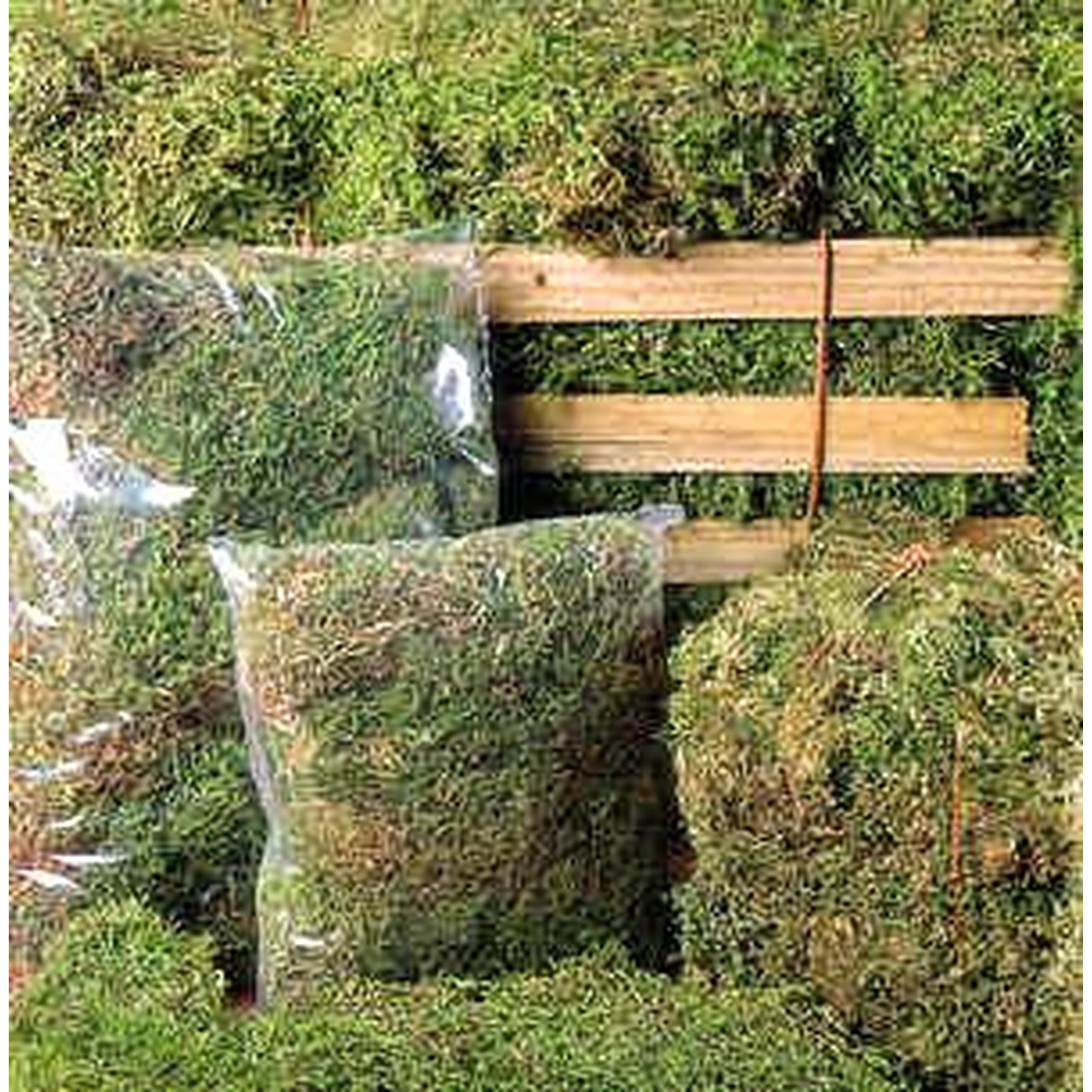 Bales of dried grass hay stacked on a wooden pallet with plastic bags nearby.