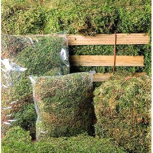 Bales of dried grass hay stacked on a wooden pallet with plastic bags nearby.