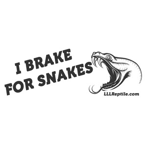Bold angled text saying I BRAKE FOR SNAKES with a snarling snake head illustration and LLLReptile.com.