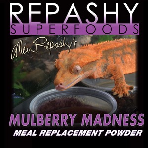 Orange gecko beside a powder container on a Repashy Superfoods Mulberry Madness packaging.