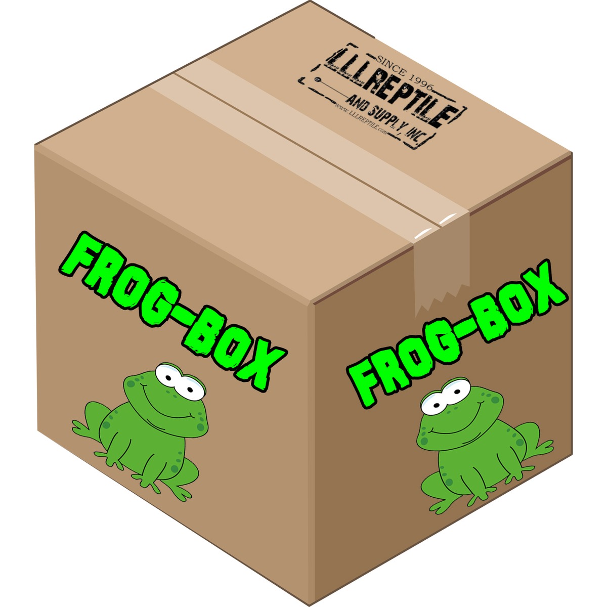 Tree Frogs, Other Frogs & Amphibians | LLLReptile