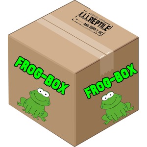 Brown cardboard box labeled "FROG-BOX" in large green letters with two cartoon green frogs on its sides.