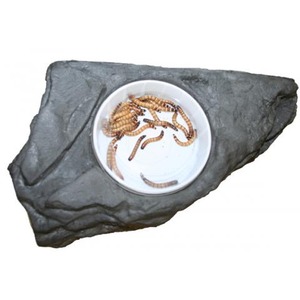 White bowl holding mealworms on a gray rock.