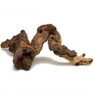 Dried, twisted brown root-like fragment on white background.