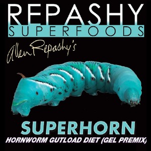 Blue-green hornworm larva on a black background with Repashy Superfoods branding and the word SUPERHORN.