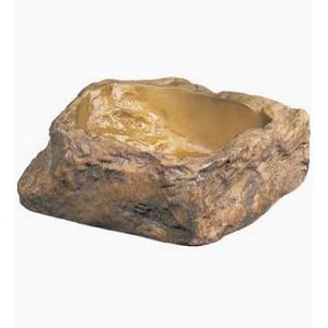 rough brown rock with a shallow hollow filled with amber liquid