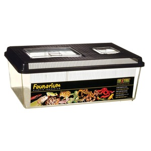 Faunarium plastic terrarium with black lid, clear body, and label showing various reptiles.