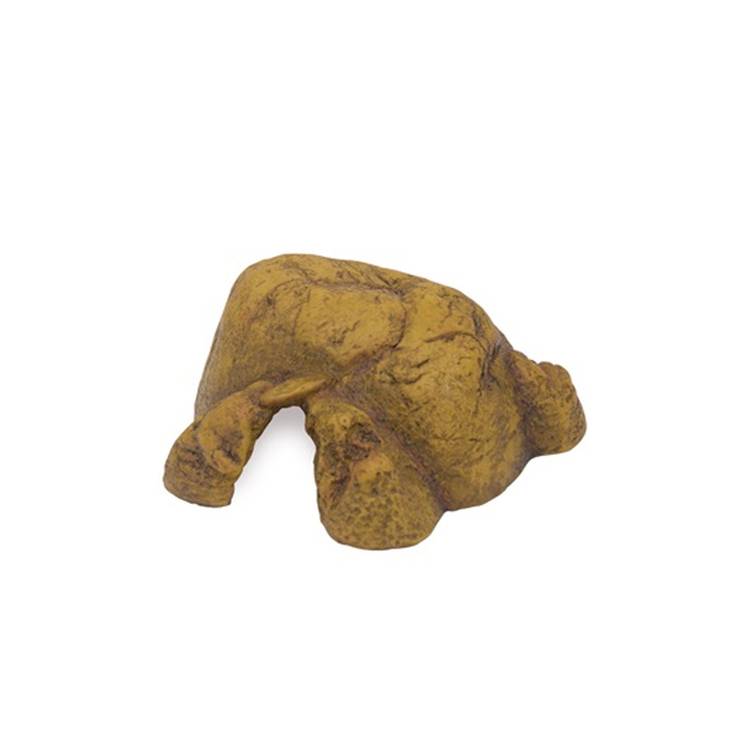 Brown, rough rock with a curved, leg-like protrusion on a white background.