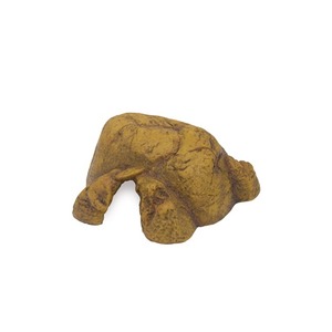 Brown, rough rock with a curved, leg-like protrusion on a white background.