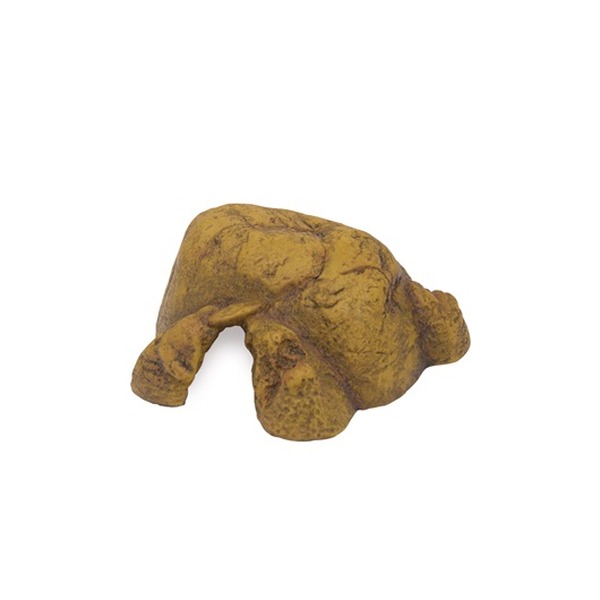 Brown, rough rock with a curved, leg-like protrusion on a white background.