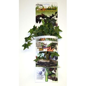 Vertical stack of jungle terrarium cards with a trailing ivy plant climbing through them.