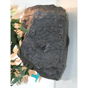 Rough dark gray rock block with textured surface, ivy on the left, small blue faucet at the bottom.
