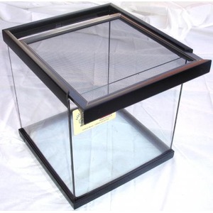 Clear glass display aquarium with a black metal frame and mesh-covered lid, empty inside.
