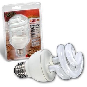 Spiral compact fluorescent lamp lying next to its blister-packaged packaging.