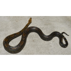 A long, dark-patterned snake with brown blotches lying on a gray concrete surface.