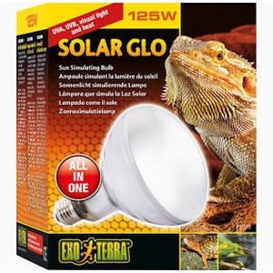 Solar Glow all-in-one solar lamp packaging featuring a bearded dragon and a reflective lamp dome.