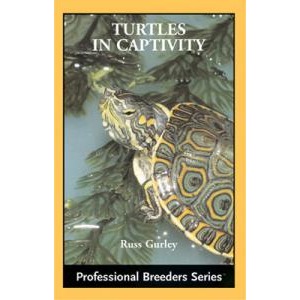 Close-up of a turtle among evergreens on the cover of 'Turtles in Captivity' by Russ Gurley.