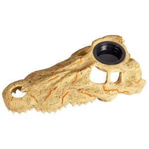 Beige dinosaur skull sculpture with a large circular glass eye socket and pointed teeth.