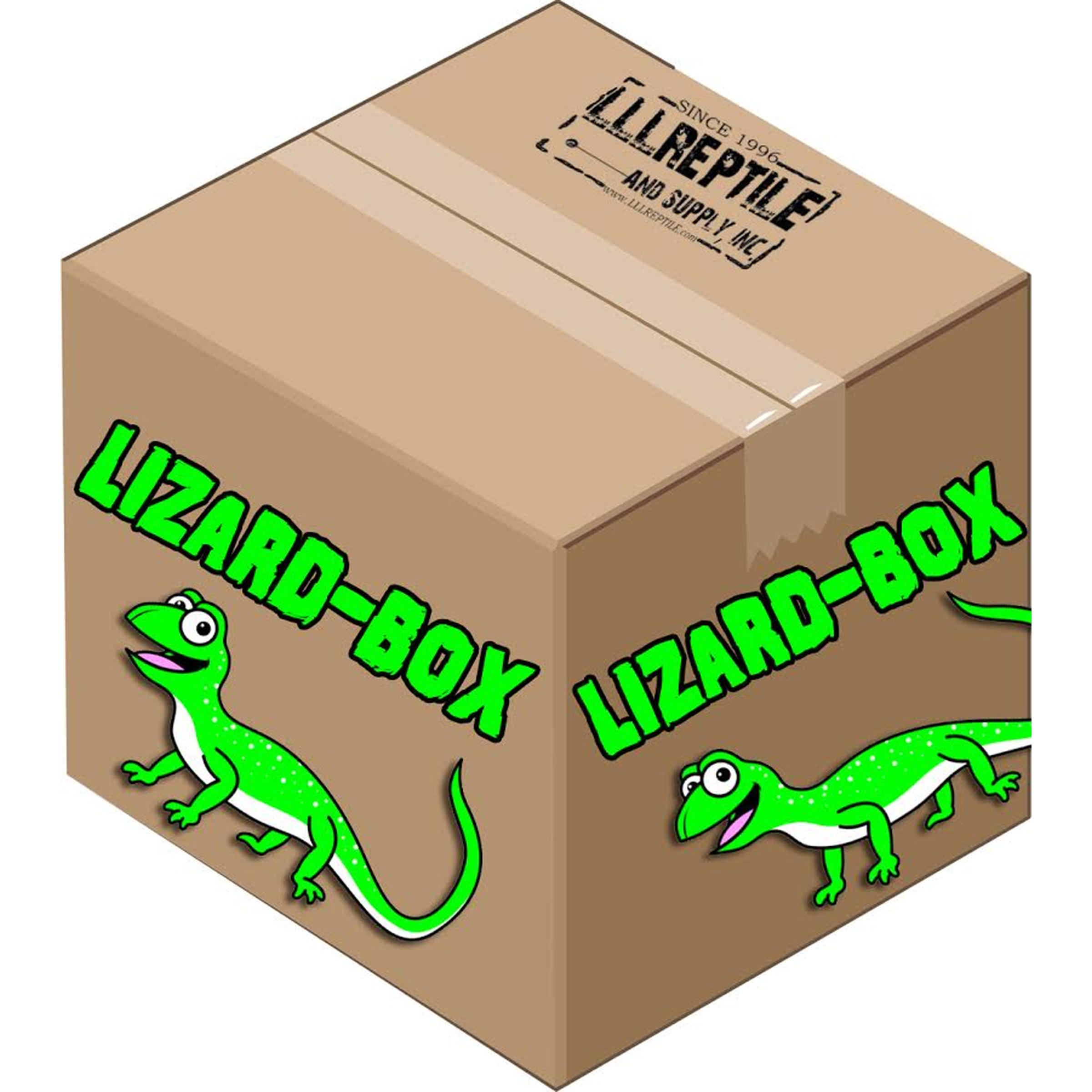 Brown cardboard box with bright green "Lizard-Box" labels and two cartoon green lizards on the sides.
