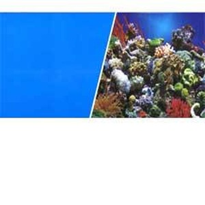 Blue left panel with a diagonal cut opening to a vibrant coral reef on the right.