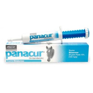 Panacur equine dewormer paste tube resting on a matching box with a gray horse silhouette.