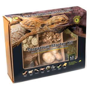 Terrarium Starter Kit box with a bearded dragon on top, displaying rocks, moss, and arid reptile supplies.