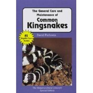 Purple book cover showing black and white striped kingsnakes on rocks; title Common Kingsnakes.