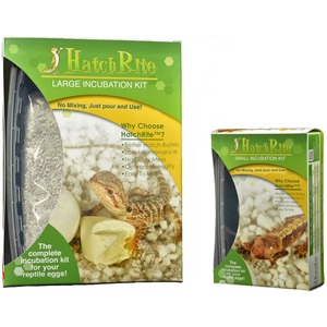HatchRite large and small reptile incubation kit boxes with a lizard image and green packaging.