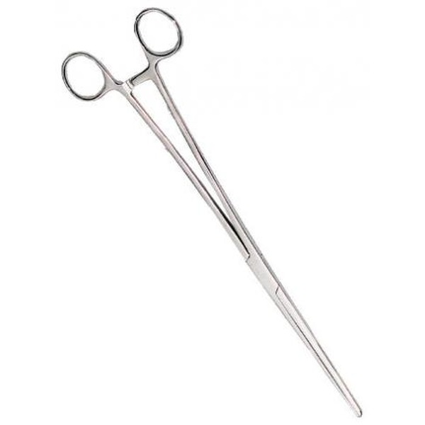 Stainless steel surgical scissors with ring finger handles and long slender blades.