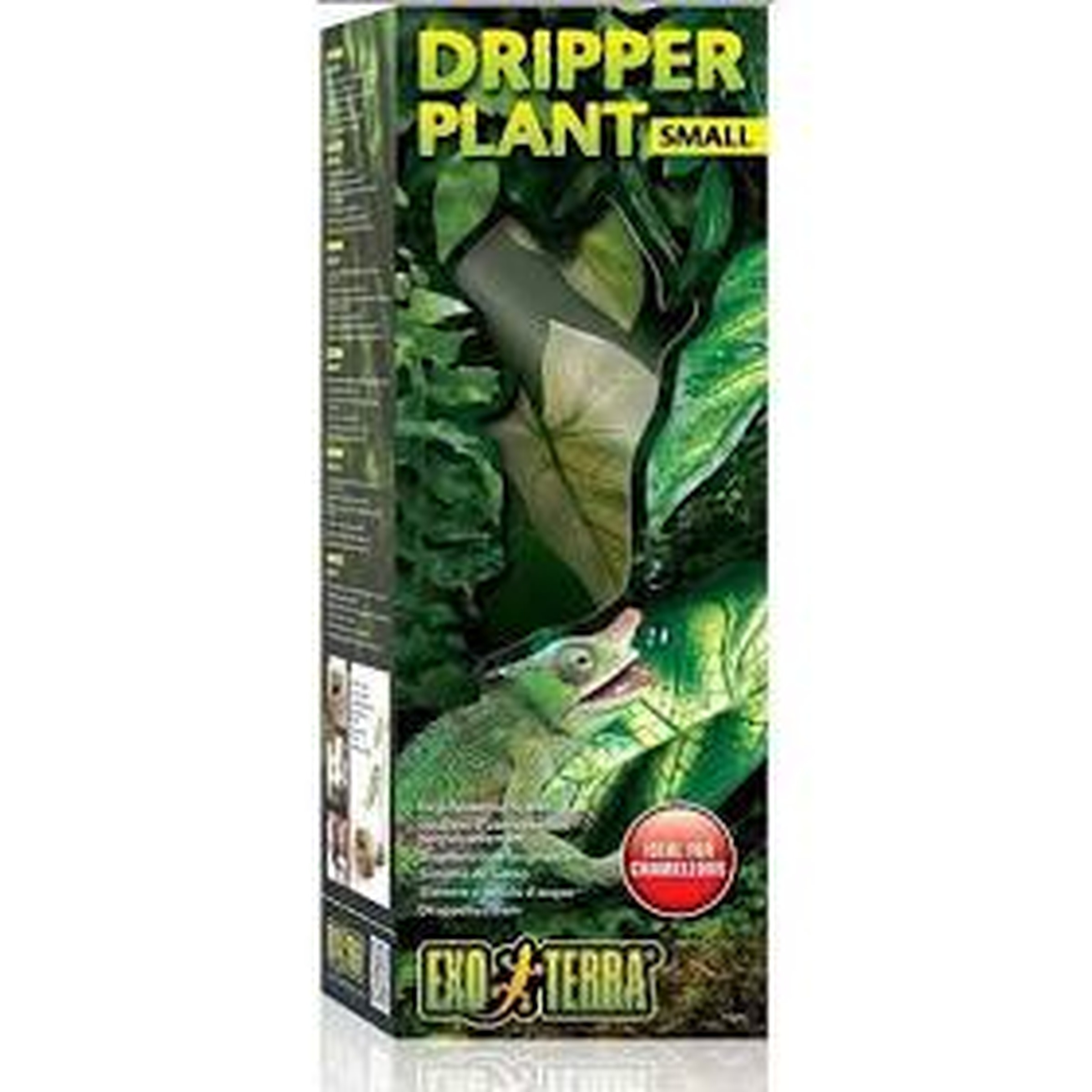 Dripper Plant Small packaging featuring a green lizard among jungle leaves.