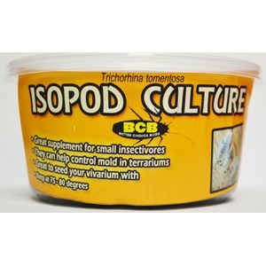 Yellow tub labeled ISOPOD CULTURE with Trichorhina tomentosa, BCB logo, and notes about isopods for terrarium use.