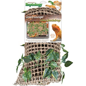 Reptology Lizard-Lounger Vine Backdrop packaging atop a woven net bag with green vines and a lizard image.