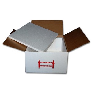 White shipping box with red 'Perishable' arrows and foam slab resting on top.