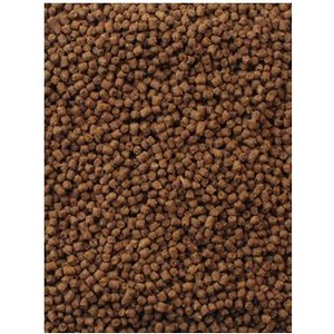 Close-up of numerous brown granules filling the frame.