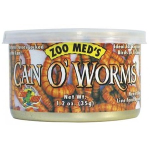 Plastic tub labeled Zoo Med's Can O' Worms with illustrated orange mealworms on the label.