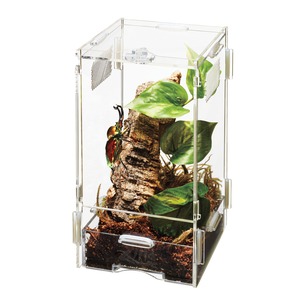 Clear acrylic terrarium with moss, rock, green leaves, and a large iridescent beetle on the rock.