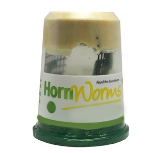 Plastic jar with cream cap and green base, label reads HornWorms food for insectivores.