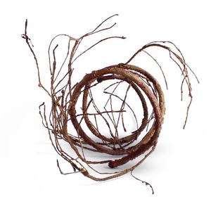 Coiled dried vines with twisting tendrils forming a circular shape on a white background.