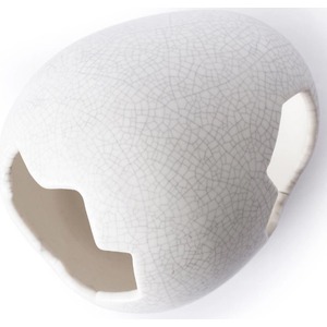 White cracked ceramic shell with two large openings and a smooth, curved surface.