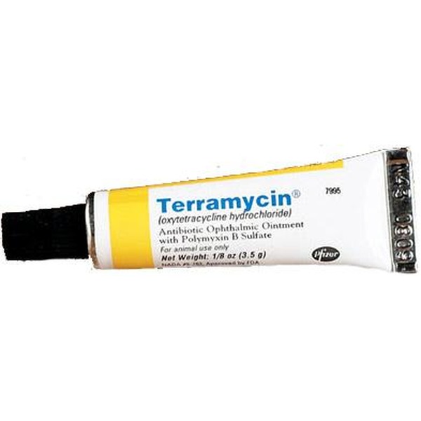 Tube of Terramycin antibiotic ophthalmic ointment with yellow label and blue text.