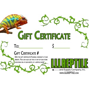 Gift certificate with colorful chameleon on a branch, green vines, and LLLReptile logo.