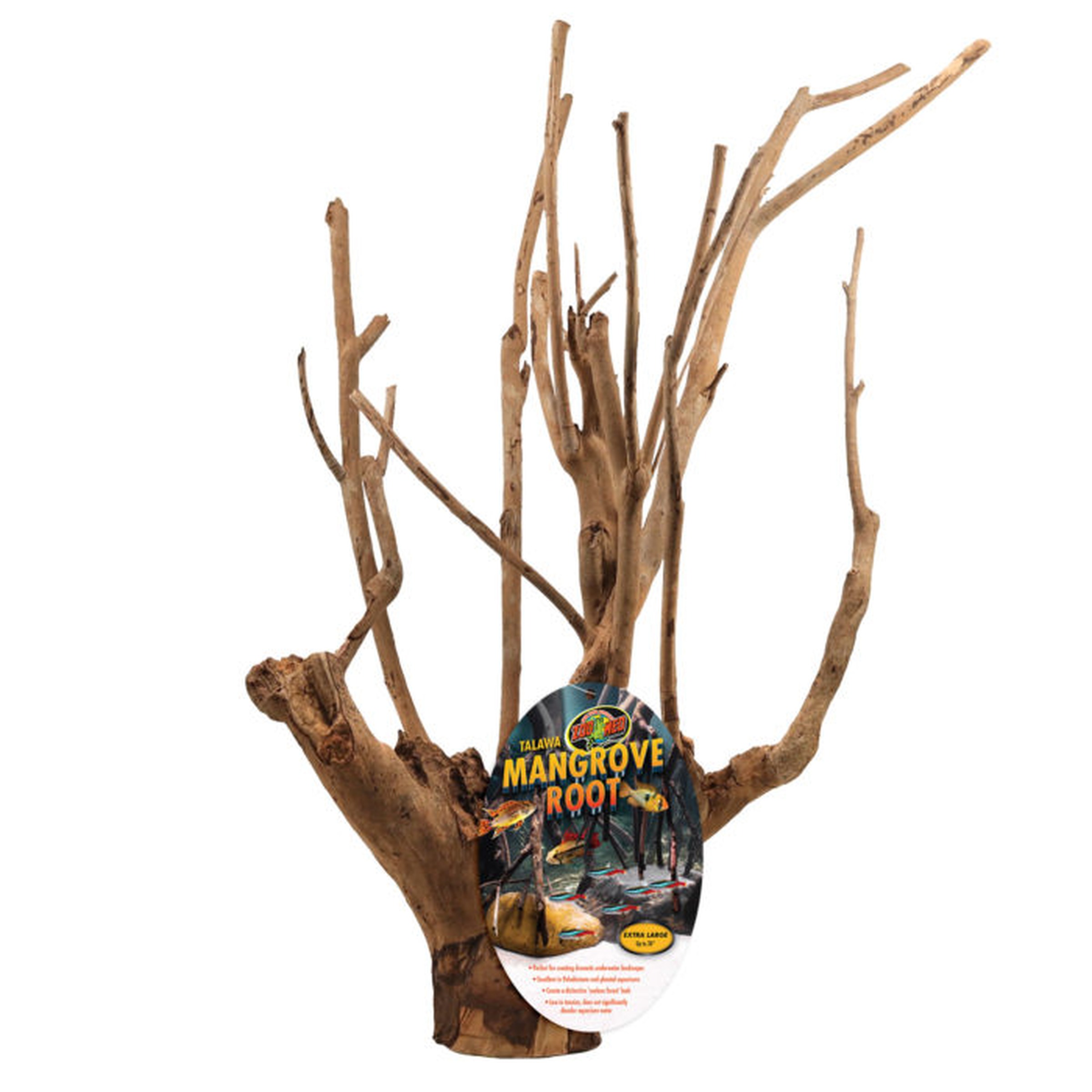 Bare mangrove tree branches with a product label reading Mangrove Root.