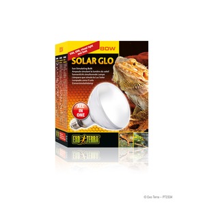 Exo Terra Solar Glo 80W sun-simulating bulb box with bearded dragon image.