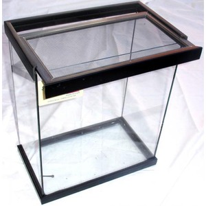 Rectangular glass aquarium with black frame and mesh-covered top.