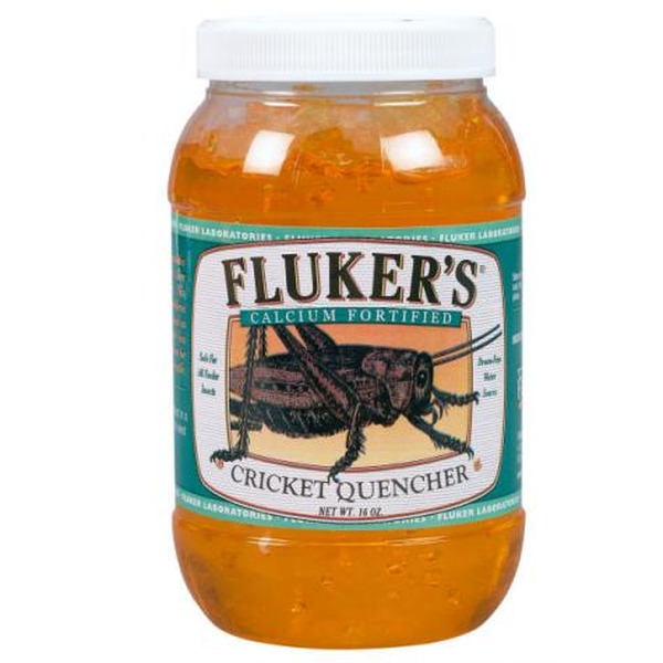 Fluker's Cricket Quencher calcium fortified drink in a clear orange jar with a white lid.