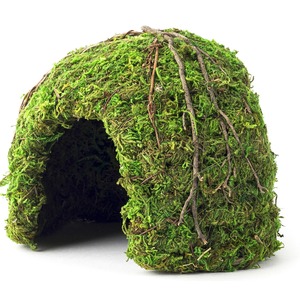 Moss-covered, dome-shaped shelter made of moss and twigs with a dark arched entrance.