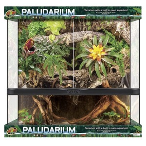 Two-level paludarium terrarium with lush tropical plants, moss, and exposed driftwood roots.