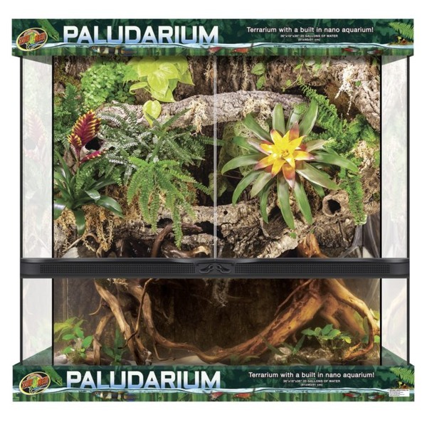 Two-level paludarium terrarium with lush tropical plants, moss, and exposed driftwood roots.